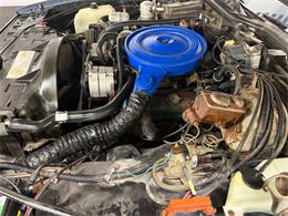 1980 Pontiac Catalina (CC-2098664) for sale in Mundelein, Illinois