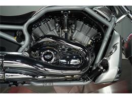 2003 Harley-Davidson V-Rod (CC-2098665) for sale in Biloxi, Mississippi