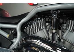 2003 Harley-Davidson V-Rod (CC-2098665) for sale in Biloxi, Mississippi