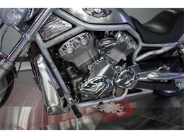 2003 Harley-Davidson V-Rod (CC-2098675) for sale in Biloxi, Mississippi