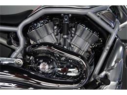 2003 Harley-Davidson V-Rod (CC-2098675) for sale in Biloxi, Mississippi