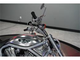 2003 Harley-Davidson V-Rod (CC-2098675) for sale in Biloxi, Mississippi