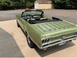 1967 Ford Mustang (CC-2098707) for sale in Newfield, New Jersey