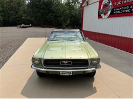 1967 Ford Mustang (CC-2098707) for sale in Newfield, New Jersey