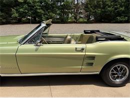 1967 Ford Mustang (CC-2098707) for sale in Newfield, New Jersey