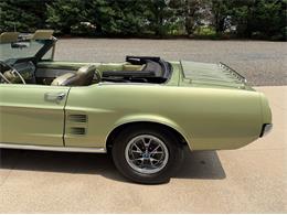 1967 Ford Mustang (CC-2098707) for sale in Newfield, New Jersey