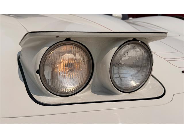 1981 Chevrolet Corvette (CC-2098739) for sale in Corydon, Indiana