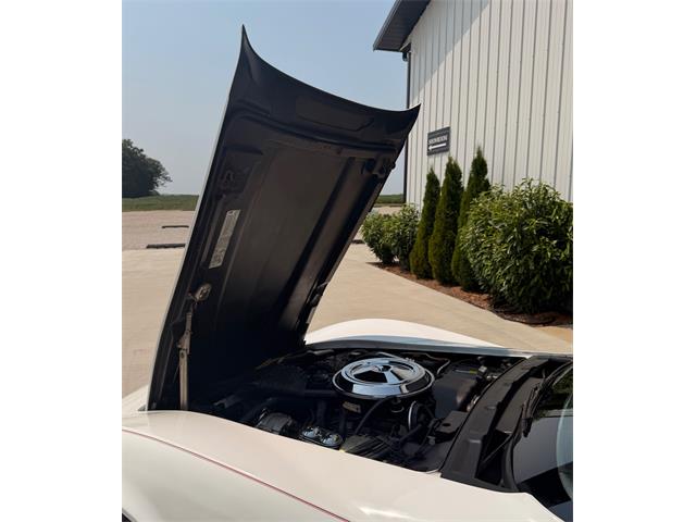 1981 Chevrolet Corvette (CC-2098739) for sale in Corydon, Indiana