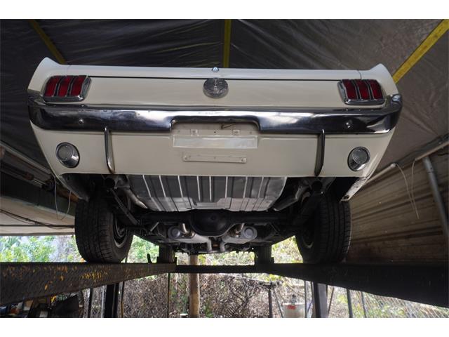 1966 Ford Mustang Fastback (CC-2098742) for sale in Fort Myers, Florida