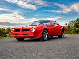 1976 Pontiac Firebird Trans Am (CC-2098756) for sale in Orwigsburg, Pennsylvania