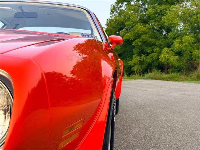 1976 Pontiac Firebird Trans Am (CC-2098756) for sale in Orwigsburg, Pennsylvania
