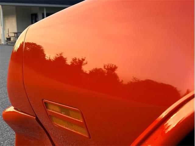 1976 Pontiac Firebird Trans Am (CC-2098756) for sale in Orwigsburg, Pennsylvania