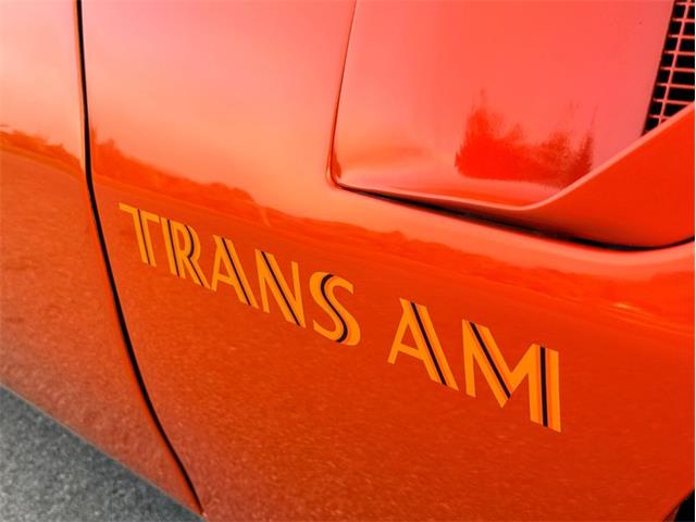 1976 Pontiac Firebird Trans Am (CC-2098756) for sale in Orwigsburg, Pennsylvania