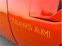 1976 Pontiac Firebird Trans Am (CC-2098756) for sale in Orwigsburg, Pennsylvania