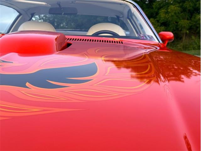 1976 Pontiac Firebird Trans Am (CC-2098756) for sale in Orwigsburg, Pennsylvania