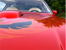 1976 Pontiac Firebird Trans Am (CC-2098756) for sale in Orwigsburg, Pennsylvania
