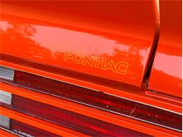1976 Pontiac Firebird Trans Am (CC-2098756) for sale in Orwigsburg, Pennsylvania