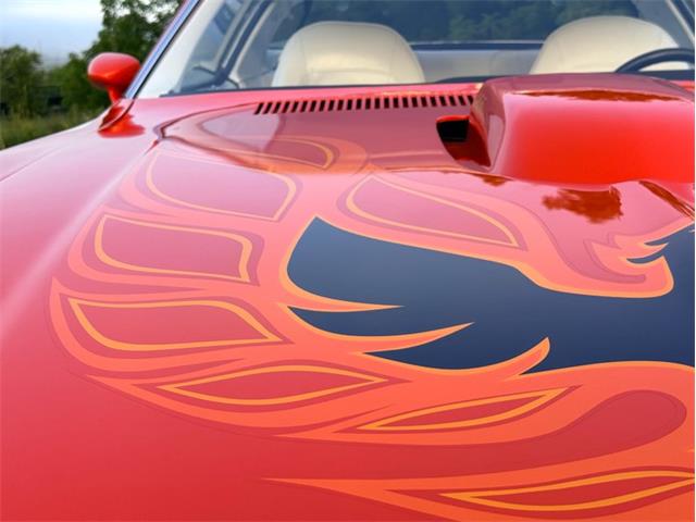 1976 Pontiac Firebird Trans Am (CC-2098756) for sale in Orwigsburg, Pennsylvania