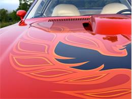 1976 Pontiac Firebird Trans Am (CC-2098756) for sale in Orwigsburg, Pennsylvania