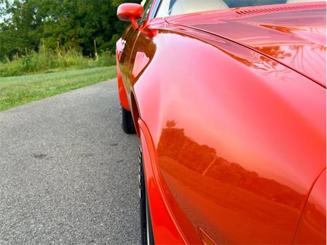 1976 Pontiac Firebird Trans Am (CC-2098756) for sale in Orwigsburg, Pennsylvania