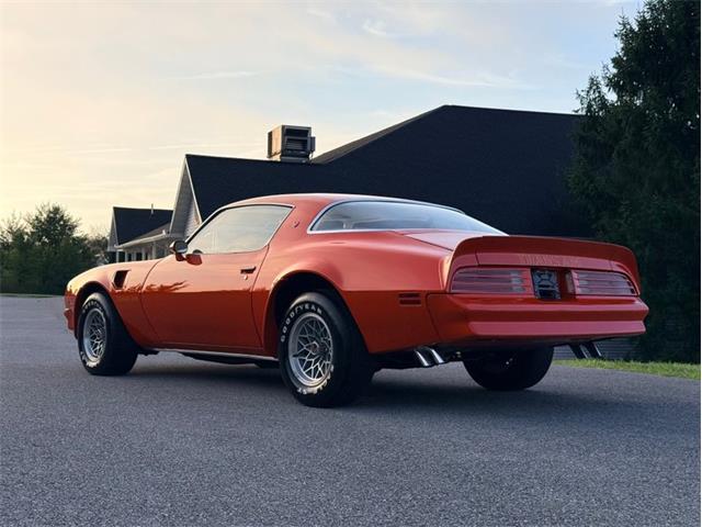 1976 Pontiac Firebird Trans Am (CC-2098756) for sale in Orwigsburg, Pennsylvania