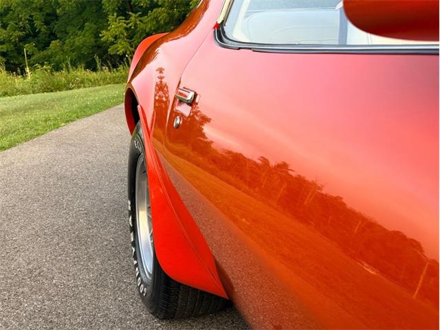 1976 Pontiac Firebird Trans Am (CC-2098756) for sale in Orwigsburg, Pennsylvania
