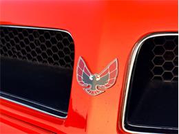 1976 Pontiac Firebird Trans Am (CC-2098756) for sale in Orwigsburg, Pennsylvania