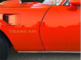 1976 Pontiac Firebird Trans Am (CC-2098756) for sale in Orwigsburg, Pennsylvania