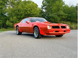 1976 Pontiac Firebird Trans Am (CC-2098756) for sale in Orwigsburg, Pennsylvania