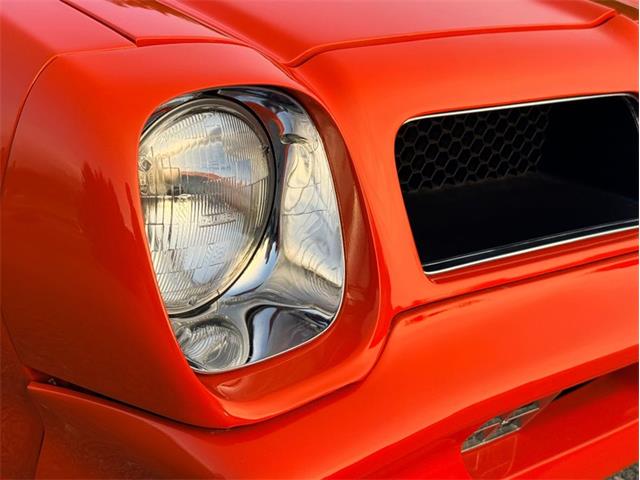 1976 Pontiac Firebird Trans Am (CC-2098756) for sale in Orwigsburg, Pennsylvania