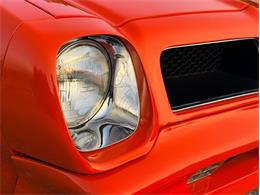 1976 Pontiac Firebird Trans Am (CC-2098756) for sale in Orwigsburg, Pennsylvania