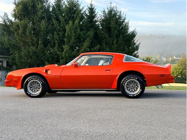 1976 Pontiac Firebird Trans Am (CC-2098756) for sale in Orwigsburg, Pennsylvania