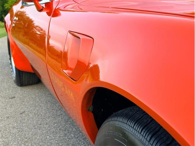 1976 Pontiac Firebird Trans Am (CC-2098756) for sale in Orwigsburg, Pennsylvania