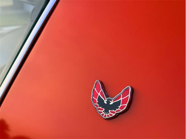1976 Pontiac Firebird Trans Am (CC-2098756) for sale in Orwigsburg, Pennsylvania