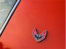 1976 Pontiac Firebird Trans Am (CC-2098756) for sale in Orwigsburg, Pennsylvania