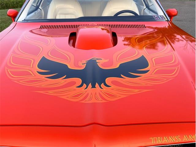 1976 Pontiac Firebird Trans Am (CC-2098756) for sale in Orwigsburg, Pennsylvania