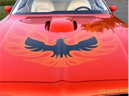 1976 Pontiac Firebird Trans Am (CC-2098756) for sale in Orwigsburg, Pennsylvania