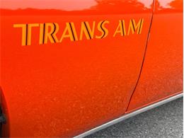 1976 Pontiac Firebird Trans Am (CC-2098756) for sale in Orwigsburg, Pennsylvania
