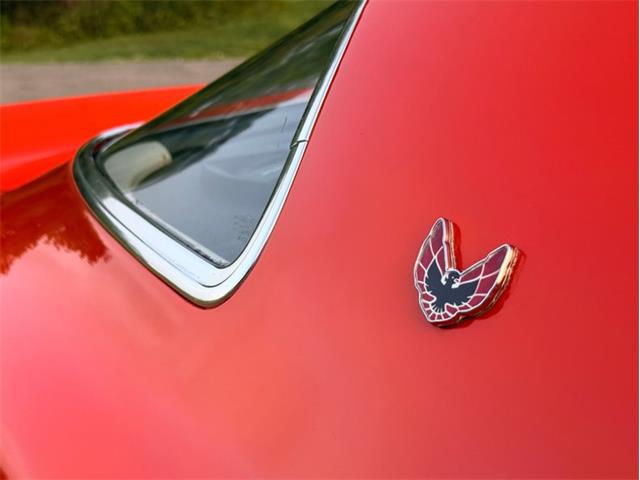 1976 Pontiac Firebird Trans Am (CC-2098756) for sale in Orwigsburg, Pennsylvania