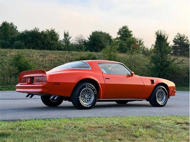 1976 Pontiac Firebird Trans Am (CC-2098756) for sale in Orwigsburg, Pennsylvania