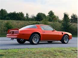 1976 Pontiac Firebird Trans Am (CC-2098756) for sale in Orwigsburg, Pennsylvania