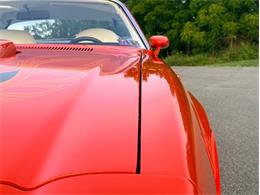 1976 Pontiac Firebird Trans Am (CC-2098756) for sale in Orwigsburg, Pennsylvania