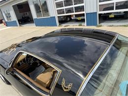 1978 Pontiac Firebird (CC-2098759) for sale in Webster, South Dakota