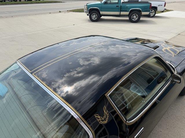 1978 Pontiac Firebird (CC-2098759) for sale in Webster, South Dakota