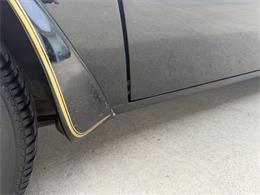 1978 Pontiac Firebird (CC-2098759) for sale in Webster, South Dakota
