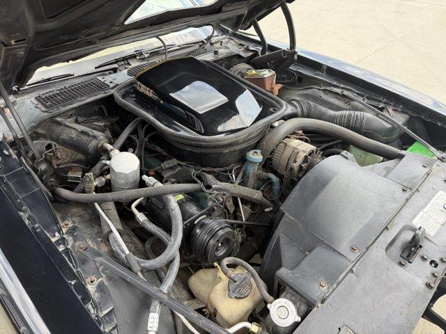 1978 Pontiac Firebird (CC-2098759) for sale in Webster, South Dakota