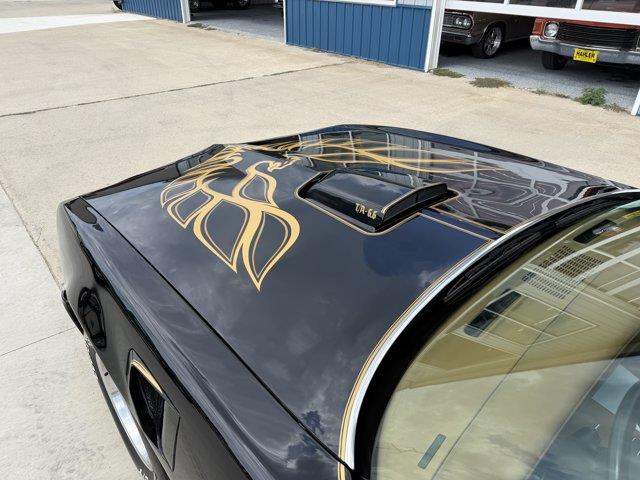 1978 Pontiac Firebird (CC-2098759) for sale in Webster, South Dakota