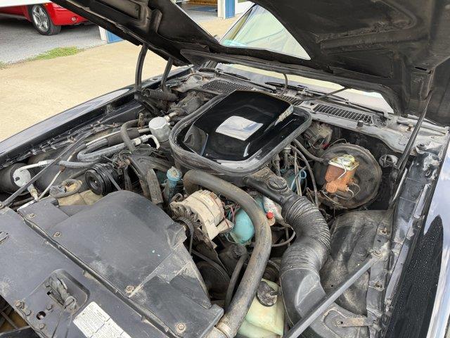 1978 Pontiac Firebird (CC-2098759) for sale in Webster, South Dakota