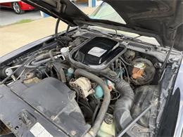 1978 Pontiac Firebird (CC-2098759) for sale in Webster, South Dakota