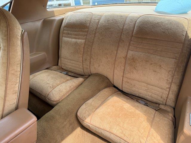 1978 Pontiac Firebird (CC-2098759) for sale in Webster, South Dakota